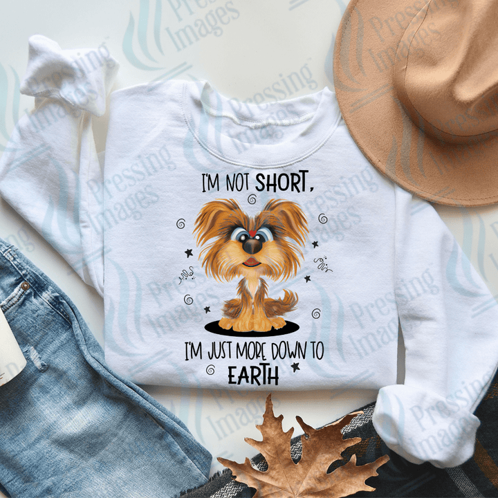 DTF 2523 I'm not short - Pressing Images