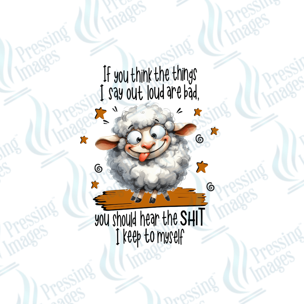 DTF 2524 If you think the things I say are loud - Pressing Images