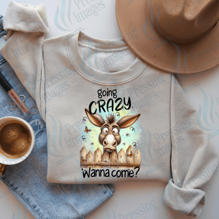 DTF 2527 Going crazy wanna come - Pressing Images