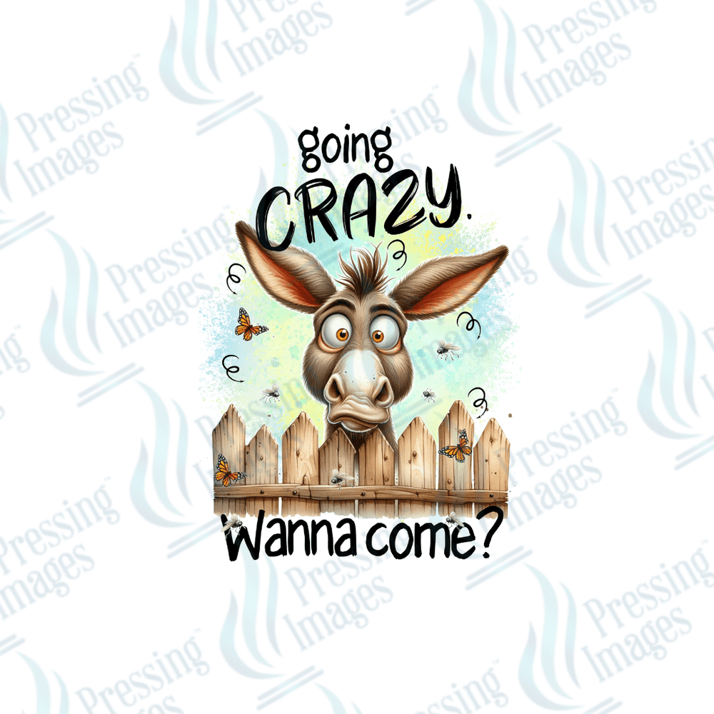 DTF 2527 Going crazy wanna come - Pressing Images