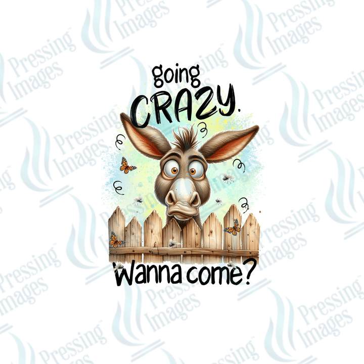 DTF 2527 Going crazy wanna come - Pressing Images