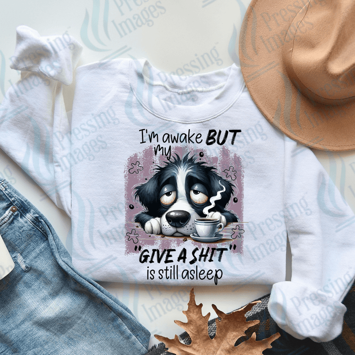 DTF 2530 I'm awake but my give a shit is still asleep - Pressing Images
