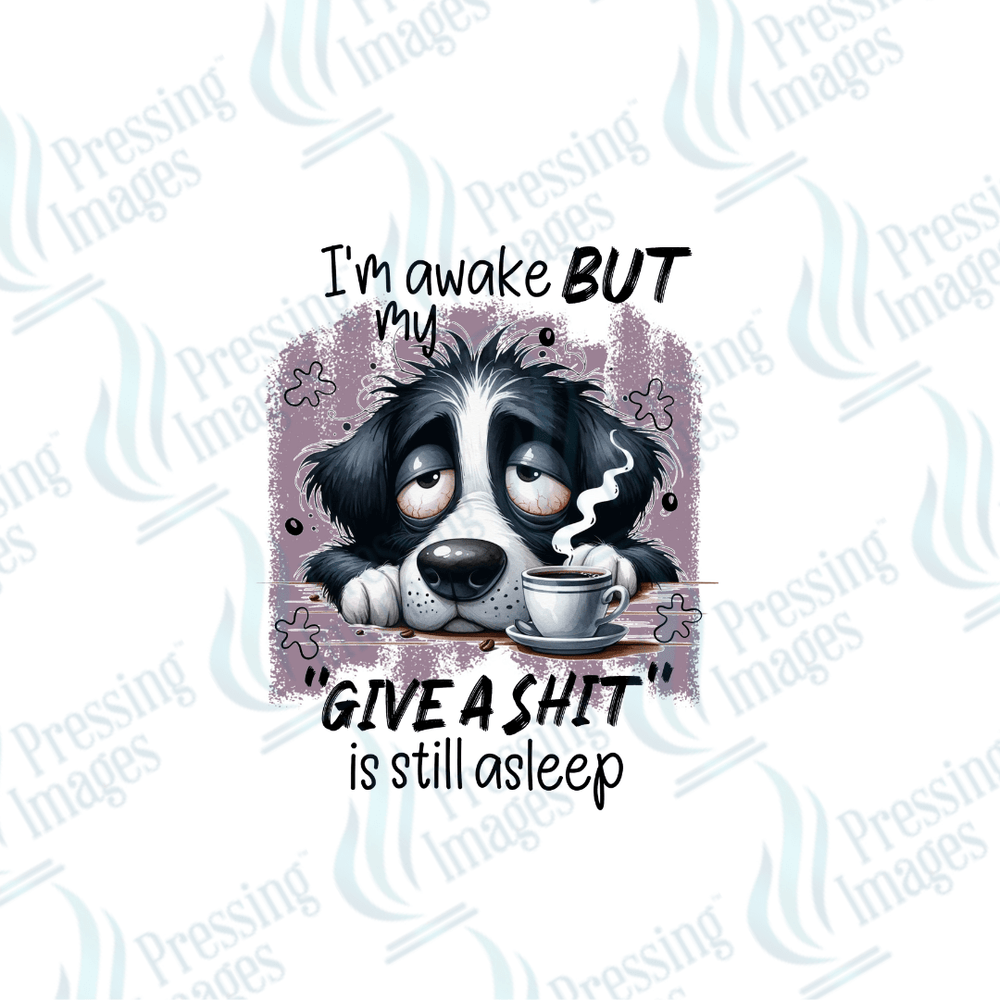 DTF 2530 I'm awake but my give a shit is still asleep - Pressing Images