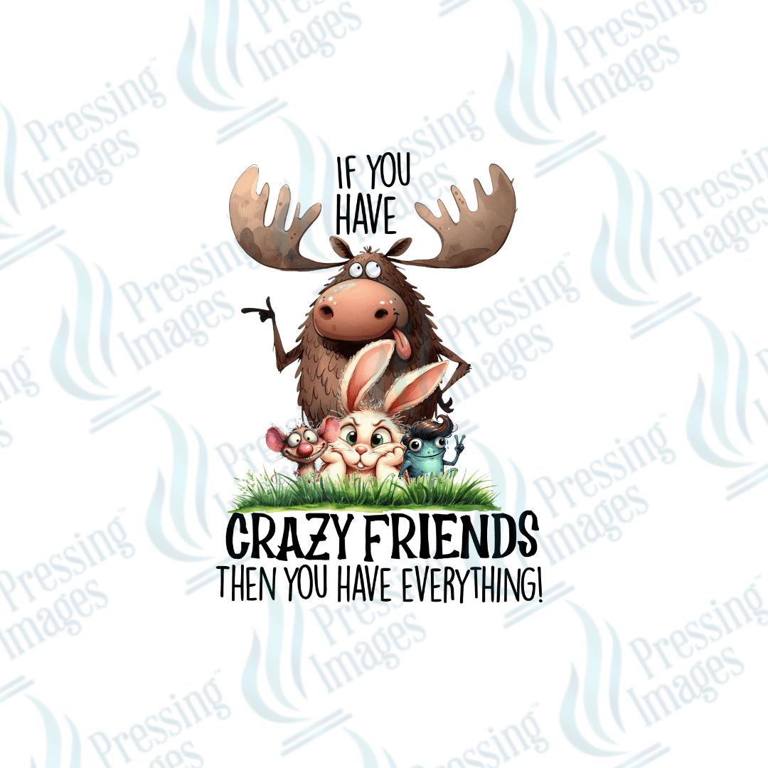 DTF 2543 If you have crazy friends - Pressing Images