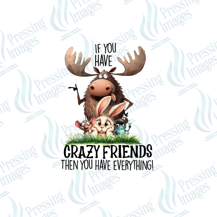 DTF 2543 If you have crazy friends - Pressing Images