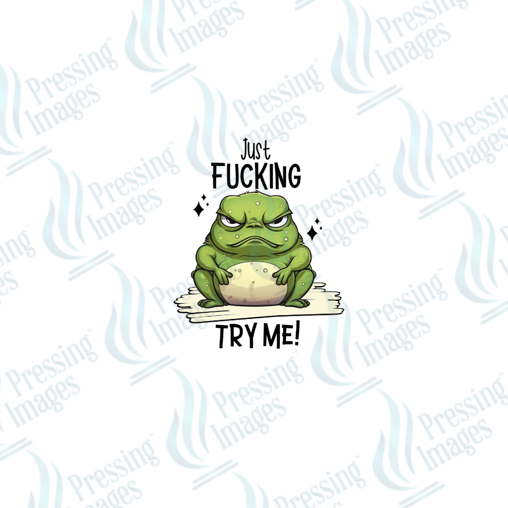 DTF 2545 Just fucking try me - Pressing Images