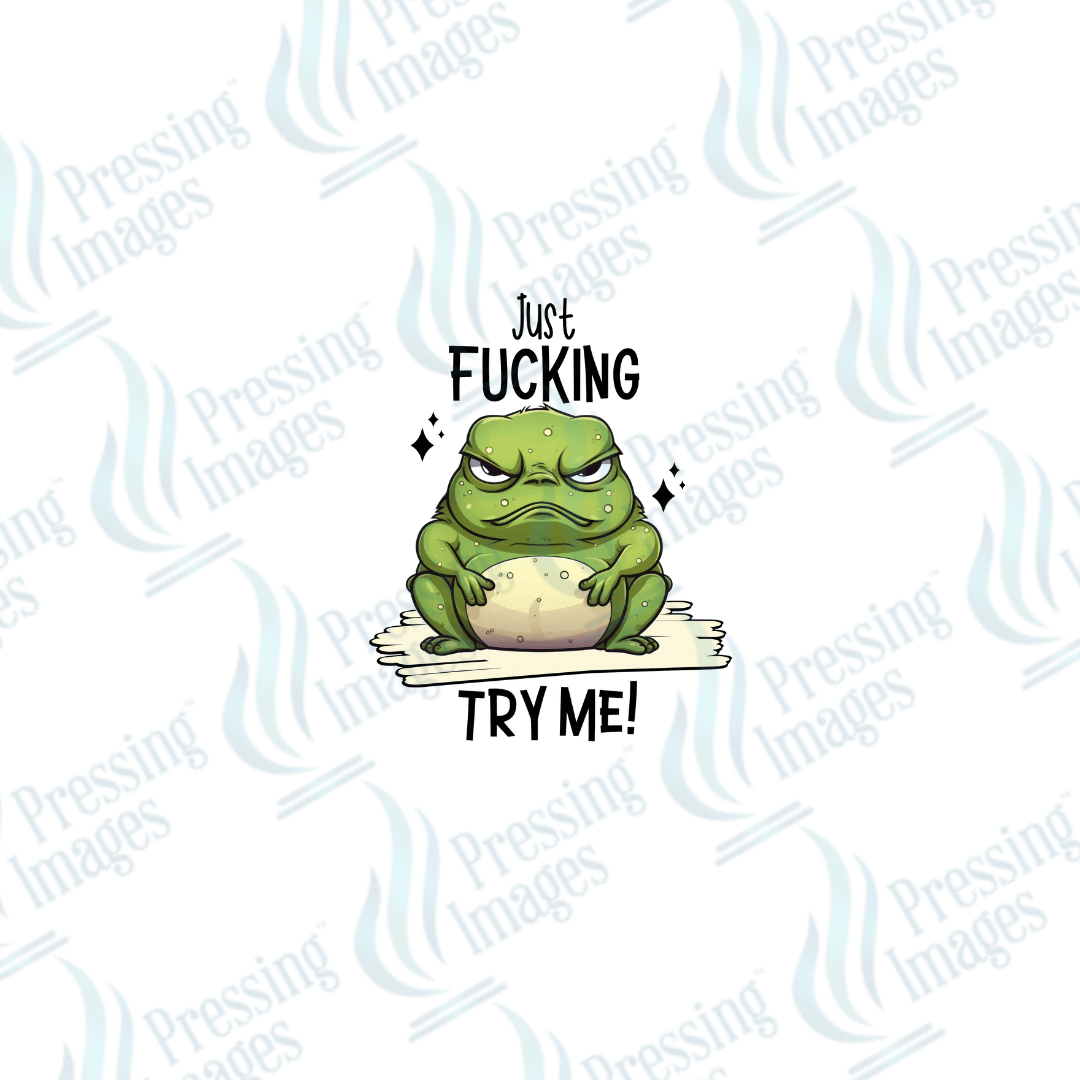 DTF 2545 Just fucking try me - Pressing Images