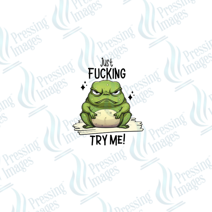 DTF 2545 Just fucking try me - Pressing Images