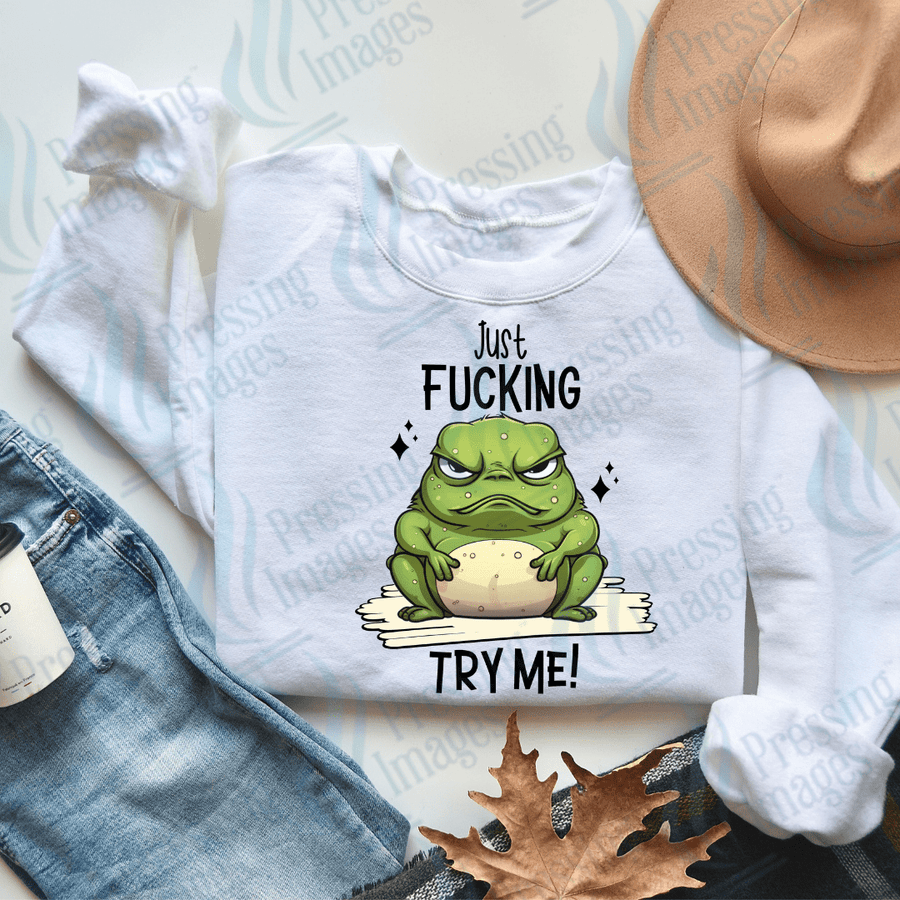 DTF 2545 Just fucking try me - Pressing Images