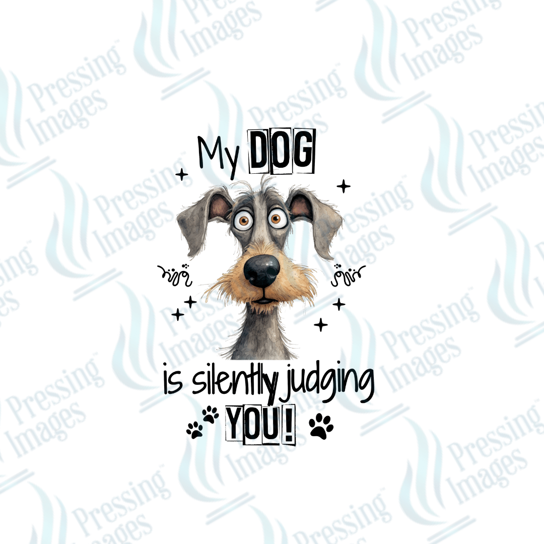 DTF 2548 My dog is silently judging you - Pressing Images