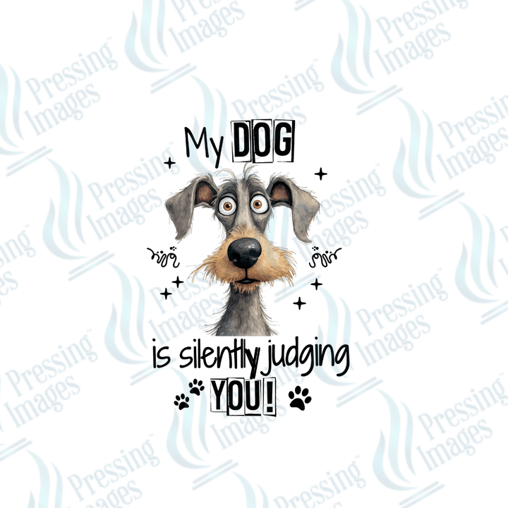 DTF 2548 My dog is silently judging you - Pressing Images