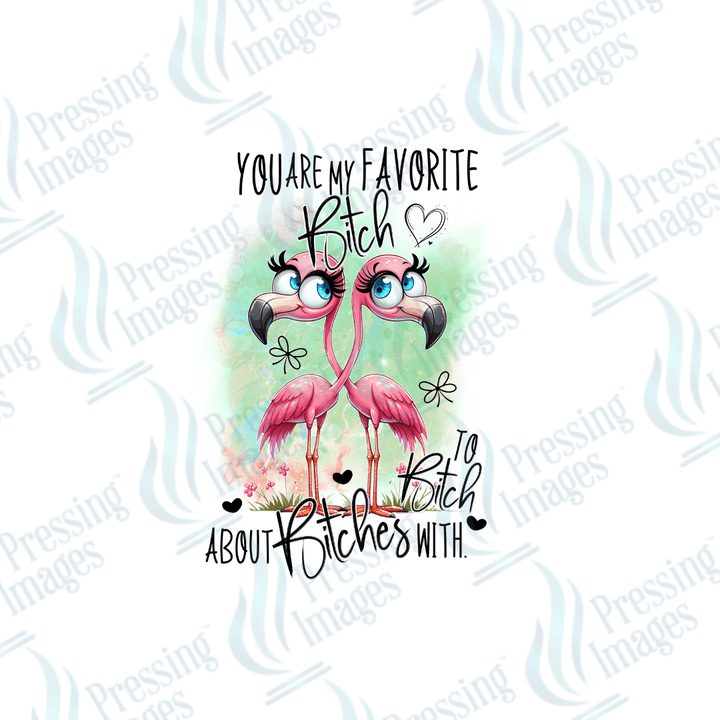 DTF 2559 You are my favourite bitch - Pressing Images