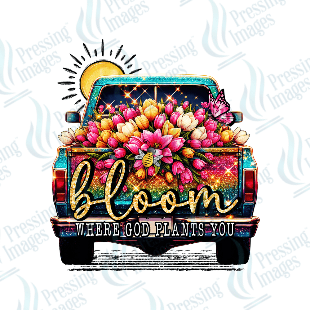 DTF 2605 Bloom truck - Pressing Images
