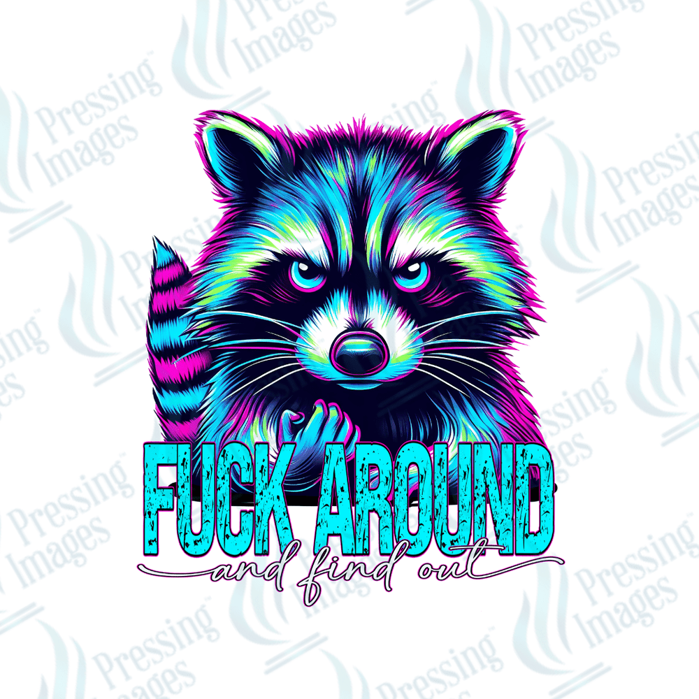 DTF 2617 Fuck around and find out - Pressing Images