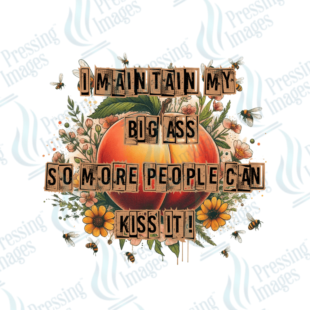 DTF 2676 I maintain my big ass - Pressing Images