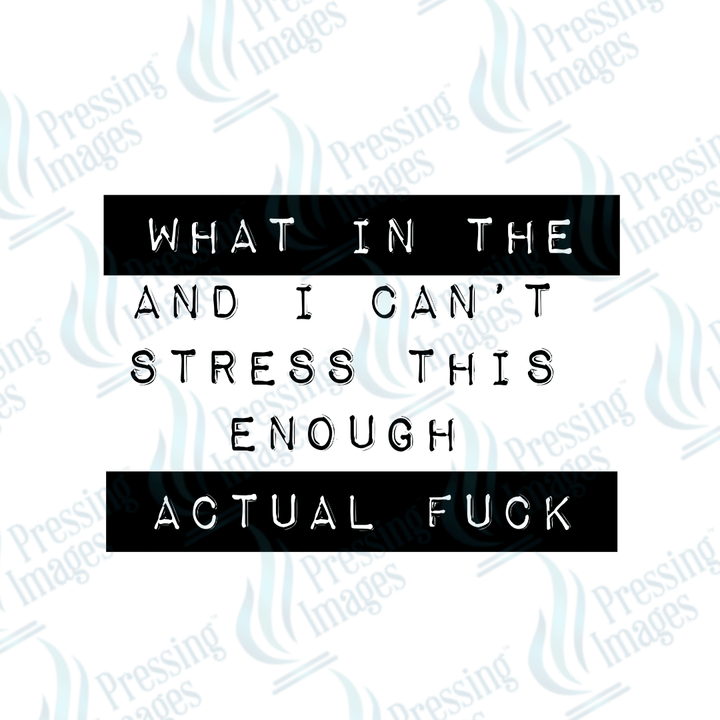 DTF 2704 What in the actual fuck - Pressing Images