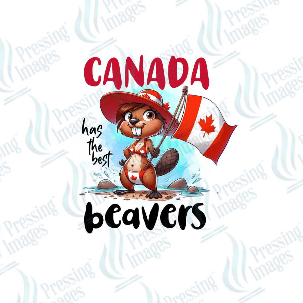 DTF 2715 Canadian Beaver's - Pressing Images