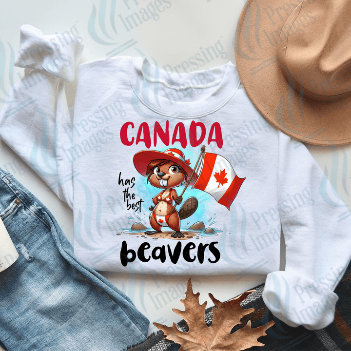 DTF 2715 Canadian Beaver's - Pressing Images