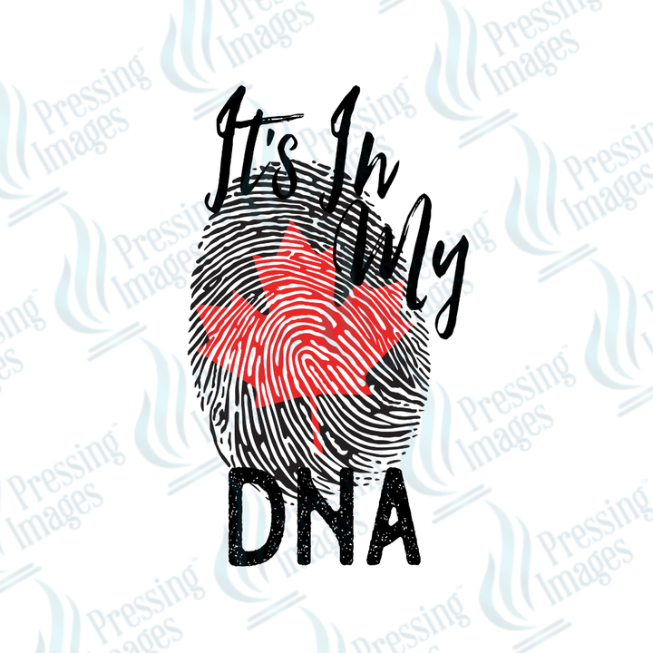 DTF 2728 It's in my DNA - Pressing Images