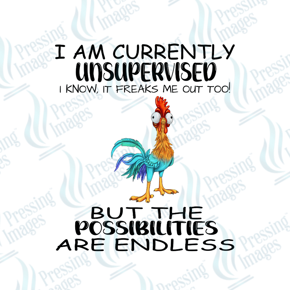 DTF 2806 I am currently unsupervised - Pressing Images