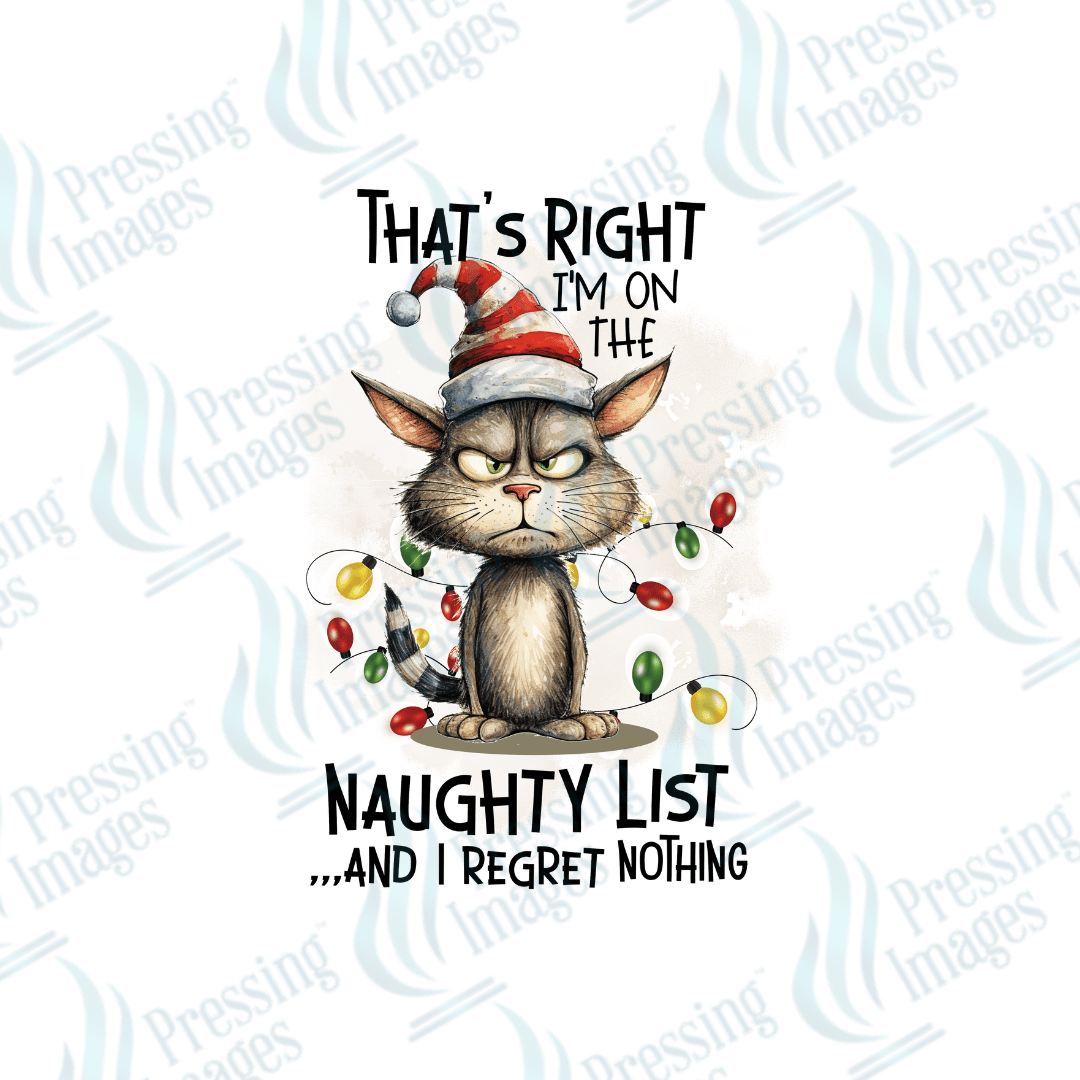 DTF 2859 That's right I'm on the naughty list - Pressing Images