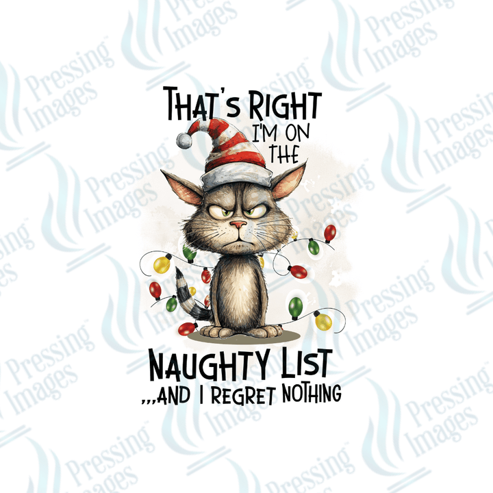 DTF 2859 That's right I'm on the naughty list - Pressing Images