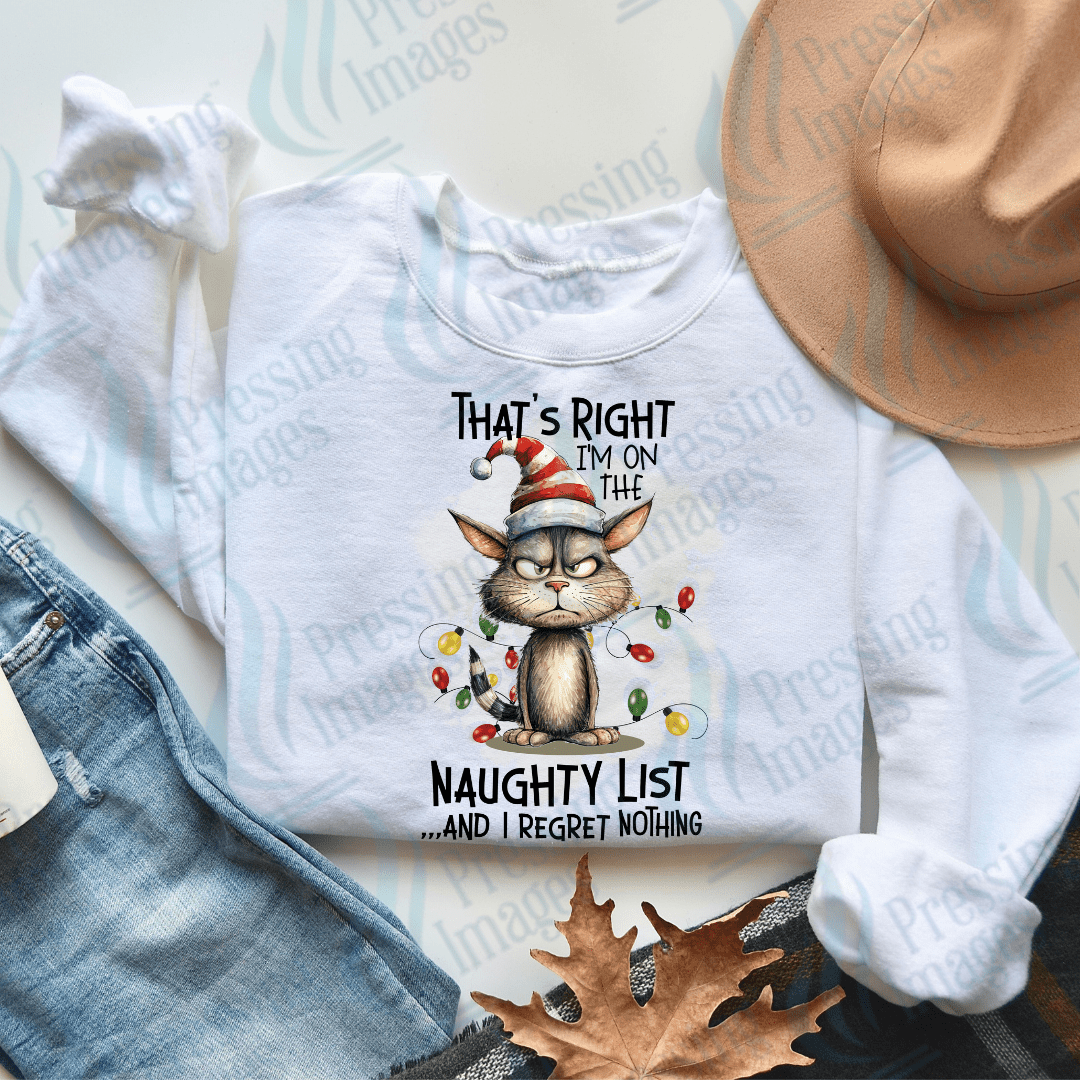 DTF 2859 That's right I'm on the naughty list - Pressing Images