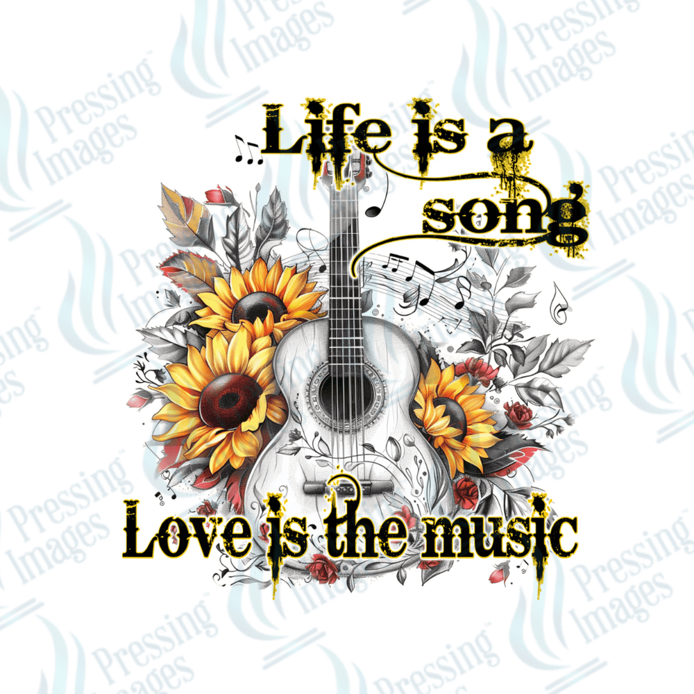 DTF 2884 Life is a song - Pressing Images