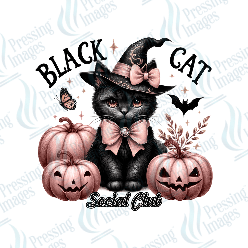 DTF 2921 Black cat social club - Pressing Images