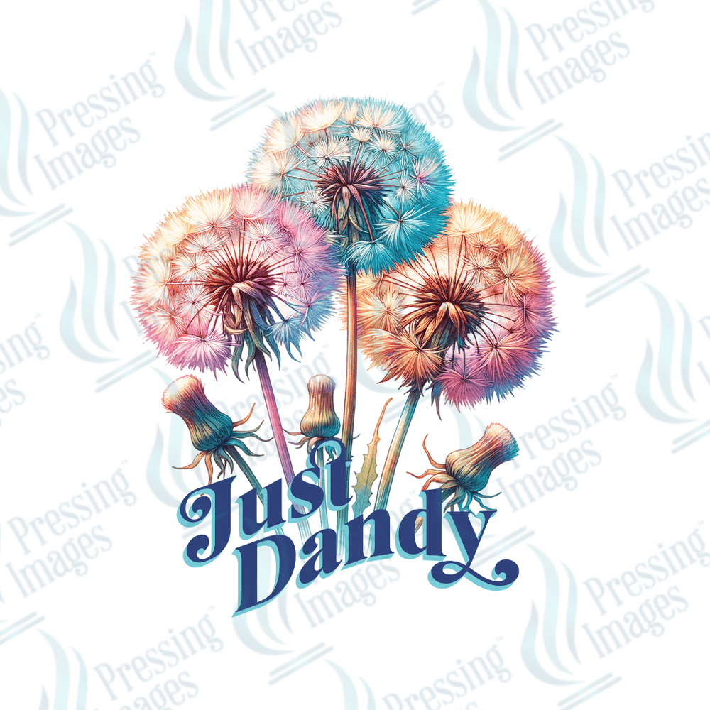 DTF 2939 Just dandy - Pressing Images