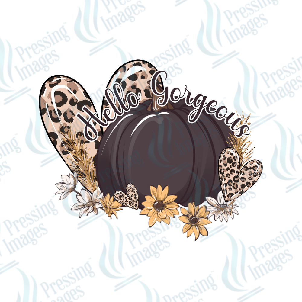 DTF 3008 Hello gorgeous - Pressing Images