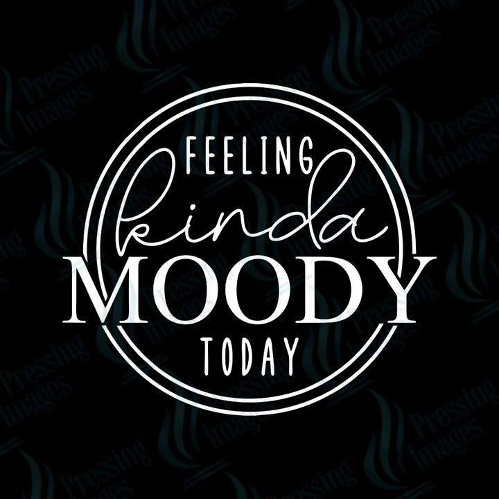 DTF 3013 Feeling Kinda moody today - Pressing Images
