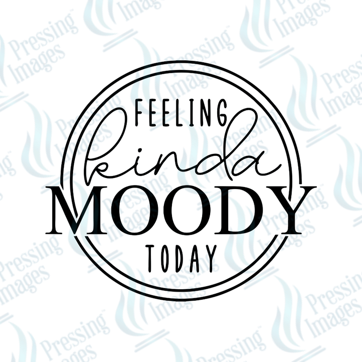 DTF 3013 Feeling Kinda moody today - Pressing Images