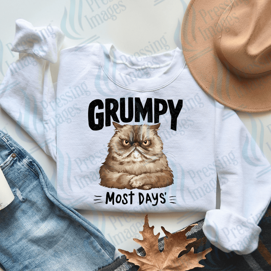 DTF 3052 Grumpy - Pressing Images