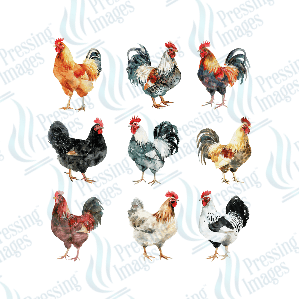 DTF 3056 Watercolour chickens - Pressing Images