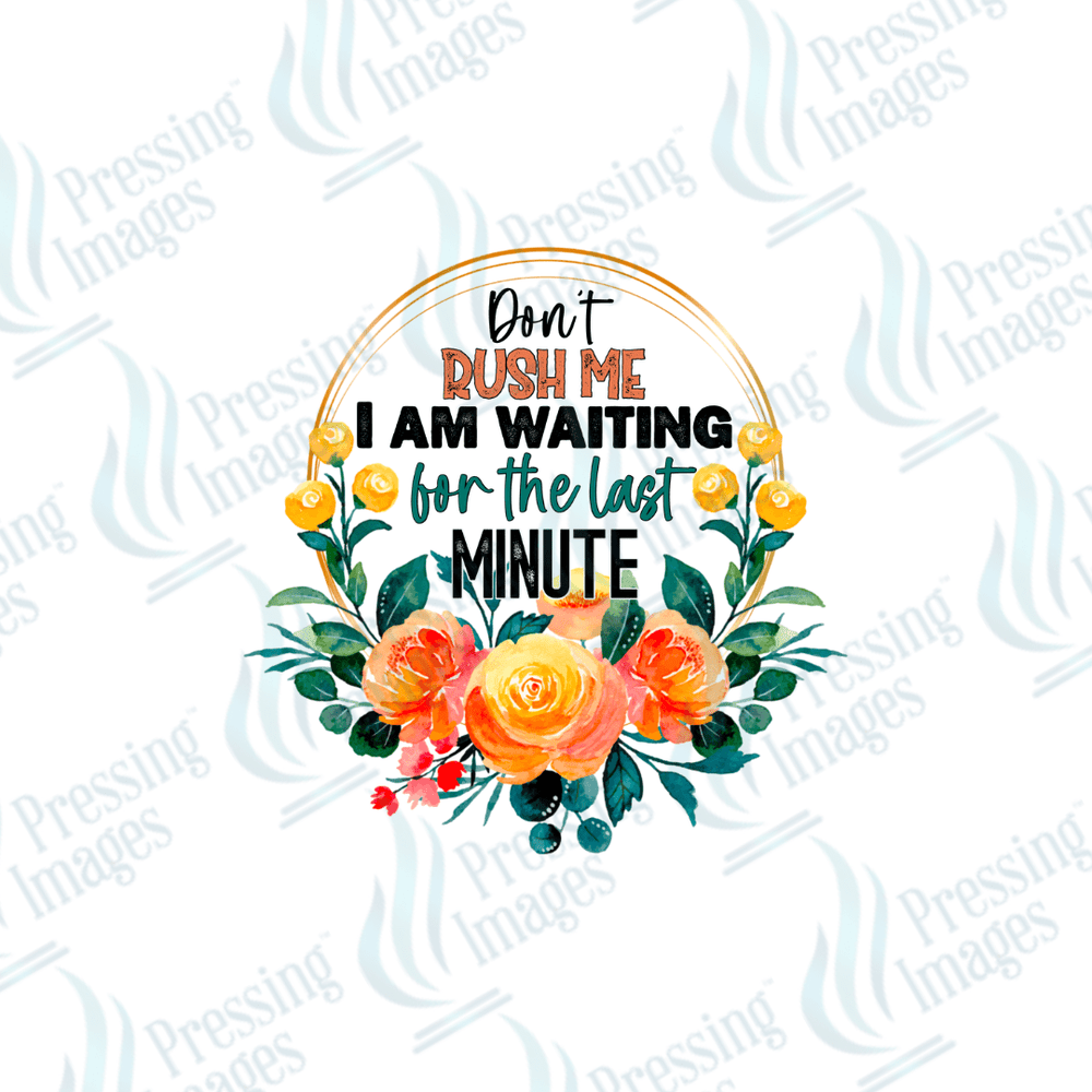 DTF 3095 Don't rush me - Pressing Images