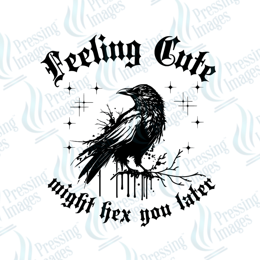 DTF 3172 Feeling cute - Pressing Images