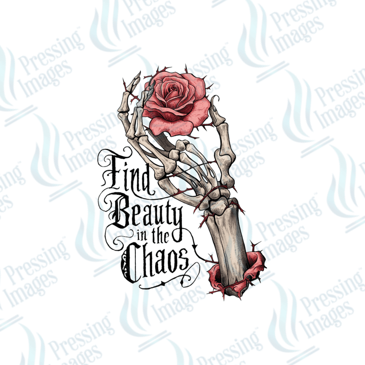 DTF 3174 Find the beauty - Pressing Images