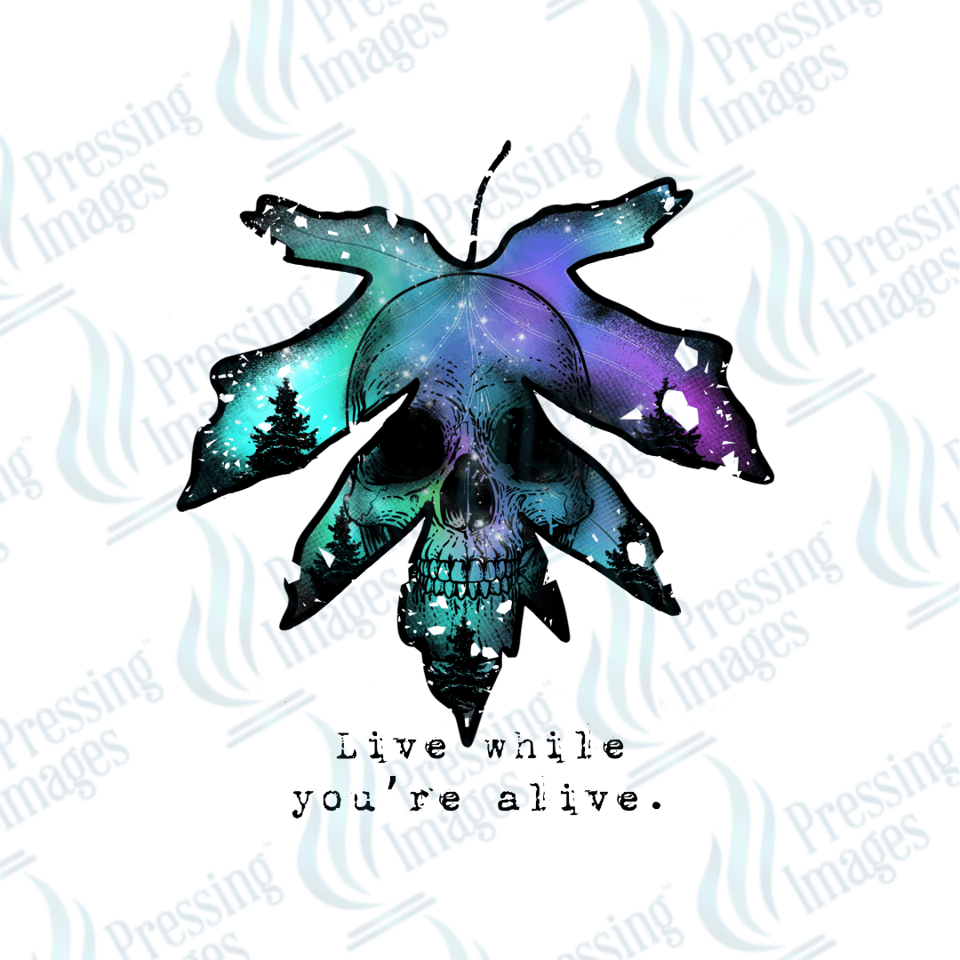 DTF 3181 Live while you're alive - Pressing Images