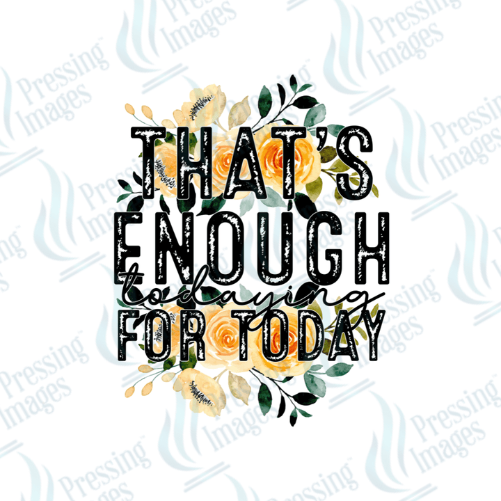 DTF 3197 That's enough todaying - Pressing Images