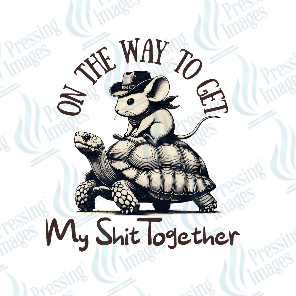 DTF 3221 On the way to get my shit together - Pressing Images