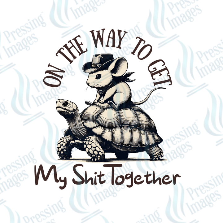 DTF 3221 On the way to get my shit together - Pressing Images