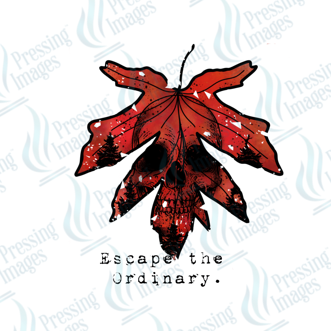 DTF 3237 Escape the ordinary - Pressing Images