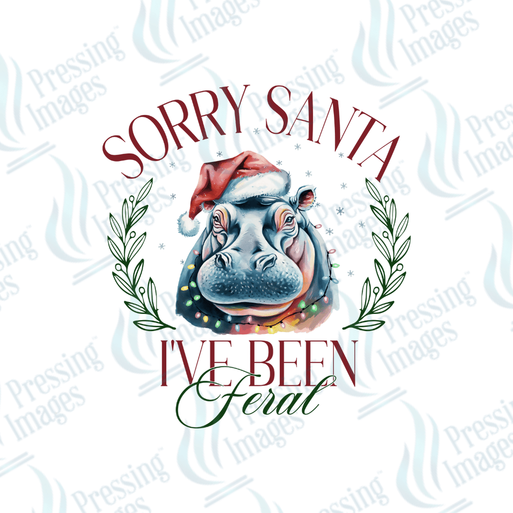 DTF 3365 Sorry Santa - Pressing Images