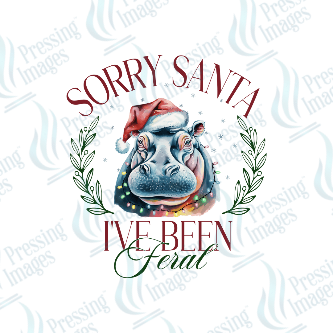DTF 3365 Sorry Santa - Pressing Images