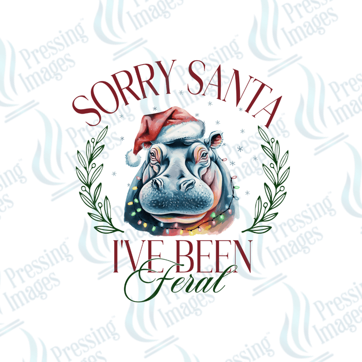 DTF 3365 Sorry Santa - Pressing Images