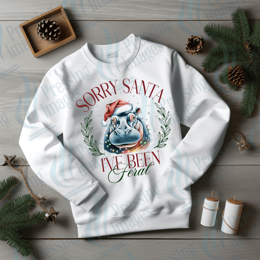 DTF 3365 Sorry Santa - Pressing Images