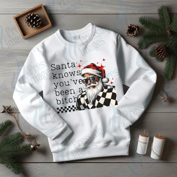 DTF 3377 Santa knows you've been a bitch - Pressing Images