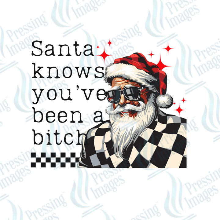 DTF 3377 Santa knows you've been a bitch - Pressing Images