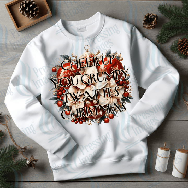 DTF 3443 Cheer up you grumpy twat - Pressing Images